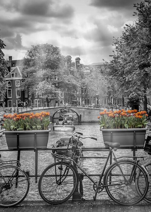 Amsterdam Greeting Card featuring the photograph AMSTERDAM Gentlemen's Canal upright panoramic view by Melanie Viola