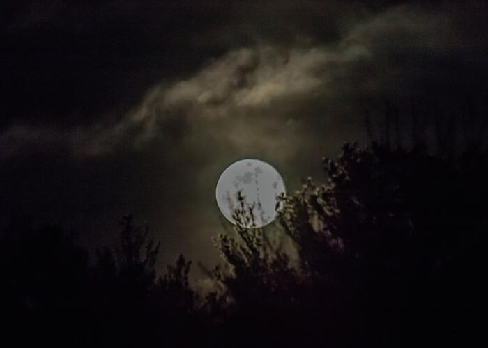  Greeting Card featuring the photograph Amy Blue Moon by Brian MacLean