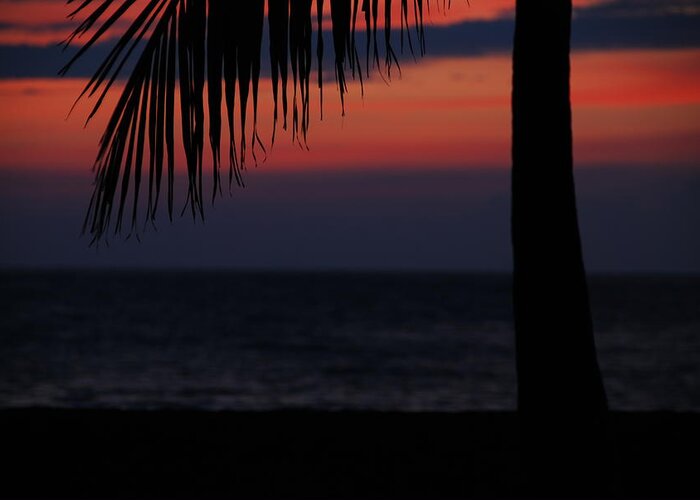 Anaeho'omalu Bay Palm Sunset Kona Hawaii Big Island Sunset Palm Tree Beach Landscape Greeting Card featuring the photograph Anaeho by Kelly Wade