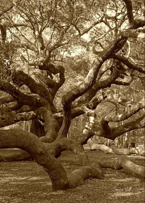 Sepia Greeting Card featuring the photograph Angel Oak in Sepia by Suzanne Gaff