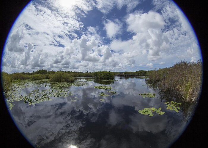 Fisheye Greeting Card featuring the photograph Anhinga Trail 86 by Michael Fryd