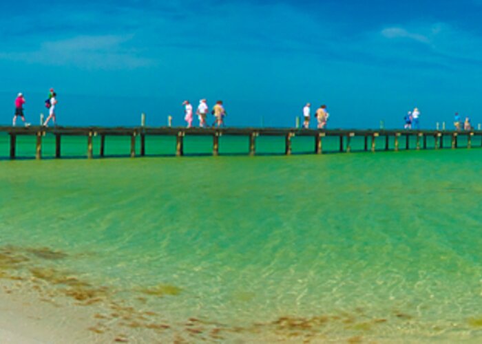 Island Greeting Card featuring the photograph Anna Maria Island Historic City Pier Panorama by Rolf Bertram