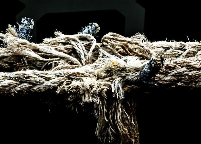Rope Greeting Card featuring the photograph Another Piece of Rope by Adriana Zoon