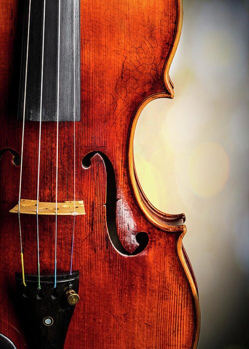 Violin Greeting Card featuring the photograph Antique Violin 1732.23 by M K Miller