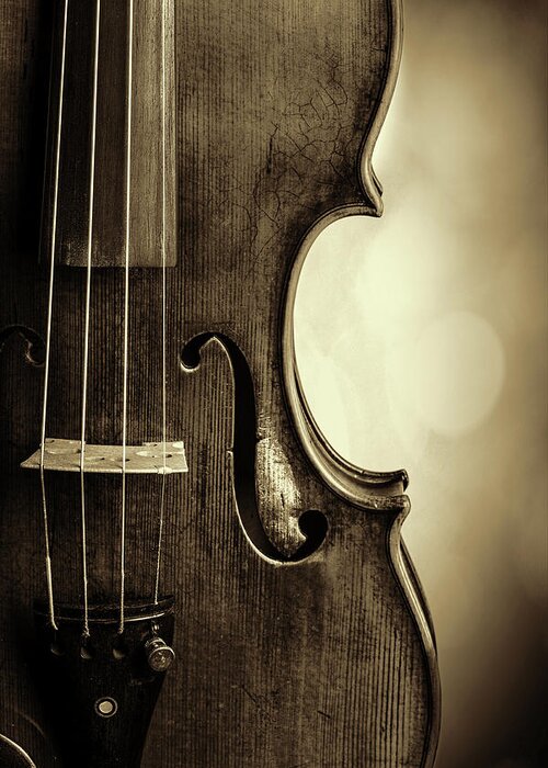 Violin Greeting Card featuring the photograph Antique Violin 1732.34 by M K Miller