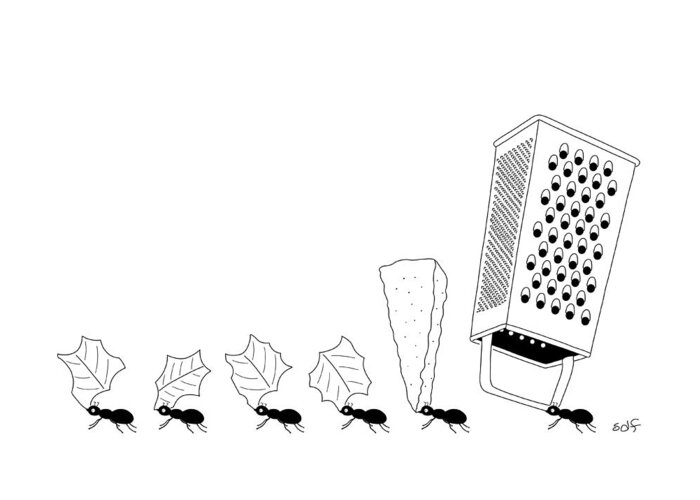 Grater Greeting Card featuring the drawing Ants with Cheese Grater by Seth Fleishman