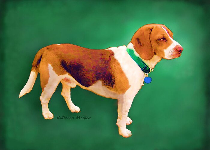 Beagle Canvas Art Greeting Card featuring the photograph Apache Green by Kathleen Modica