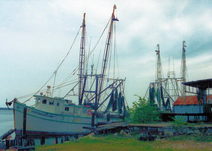 Seascapes Greeting Card featuring the photograph Apalachicola Trawlers by Jan Amiss Photography