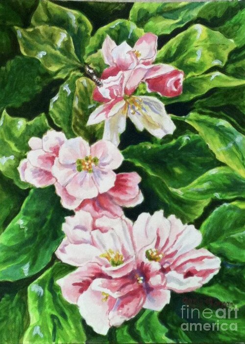 Flowers Greeting Card featuring the painting Apple Blossoms by Genie Morgan