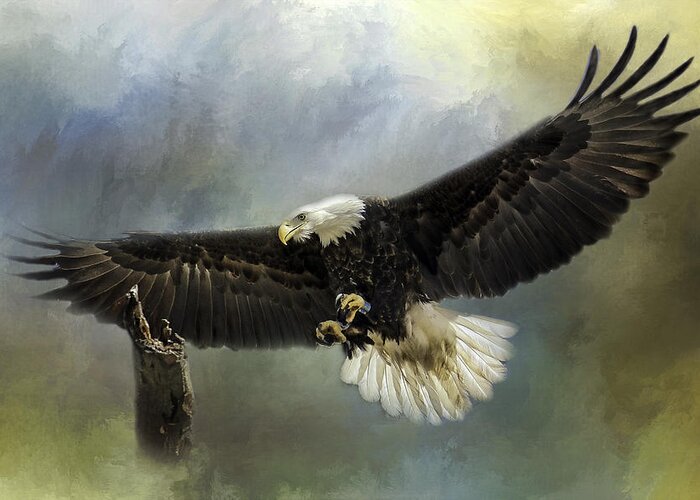 Eagle Greeting Card featuring the photograph Approaching His Perch by Eleanor Abramson