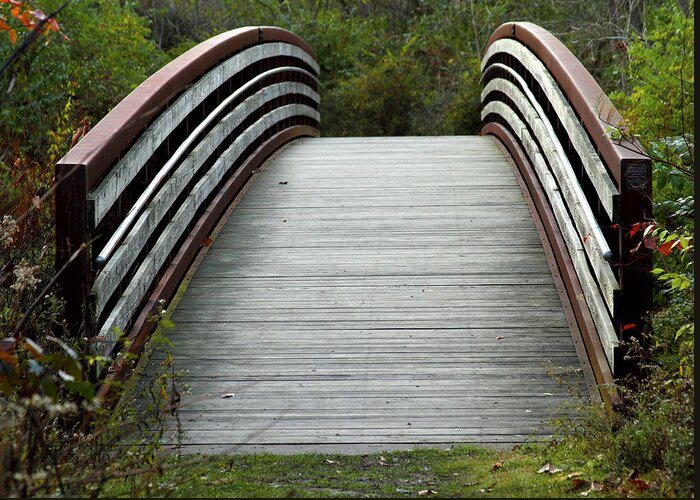 Bridge Greeting Card featuring the photograph Arched Bridge by Tim Fitzwater