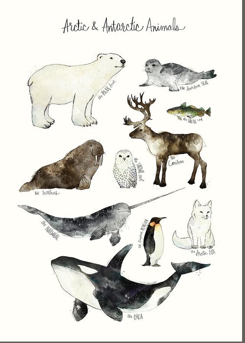 Chart Greeting Card featuring the painting Arctic and Antarctic Animals by Amy Hamilton