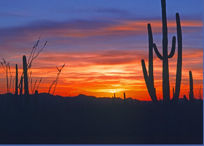 Usa Greeting Card featuring the photograph Arizona desert sunset by Gary Corbett