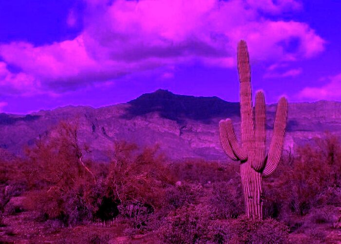 Arizona Greeting Card featuring the photograph Arizona Purple Haze by Judy Kennedy