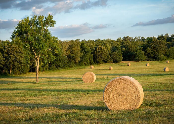 Hay Greeting Card featuring the photograph Arkansas Hayfield by James Barber