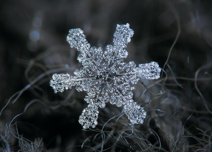Snowflake Greeting Card featuring the photograph December 18 2015 - snowflake 1 by Alexey Kljatov