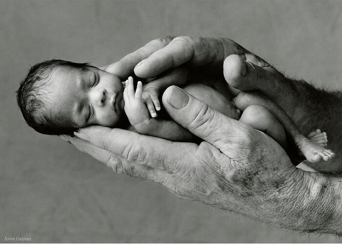 Black And White Greeting Card featuring the photograph Jack holding Maneesha by Anne Geddes