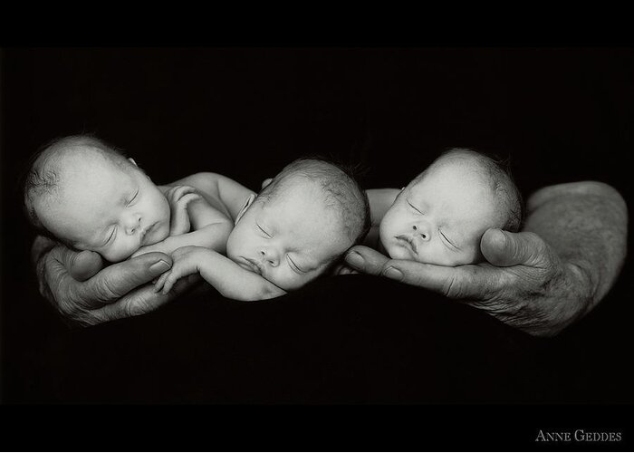 Black And White Greeting Card featuring the photograph Jack and the Triplets by Anne Geddes