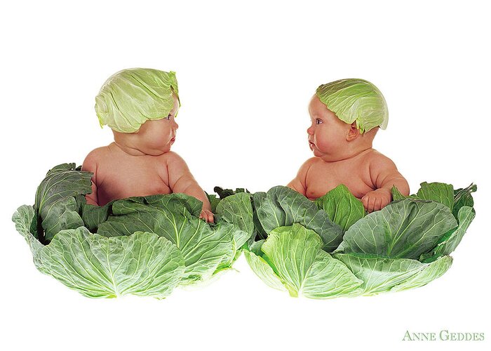 Baby Greeting Card featuring the photograph Cabbage Kids by Anne Geddes