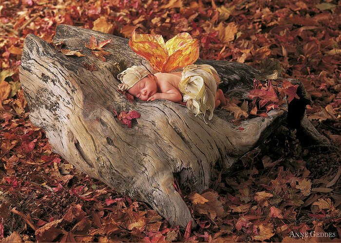 Fall Greeting Card featuring the photograph Woodland Fairy by Anne Geddes