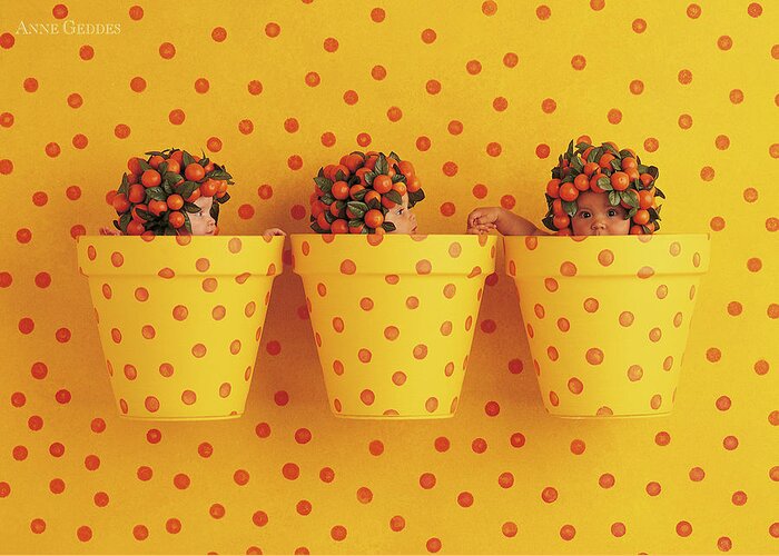 Orange Greeting Card featuring the photograph Spotted Pots by Anne Geddes