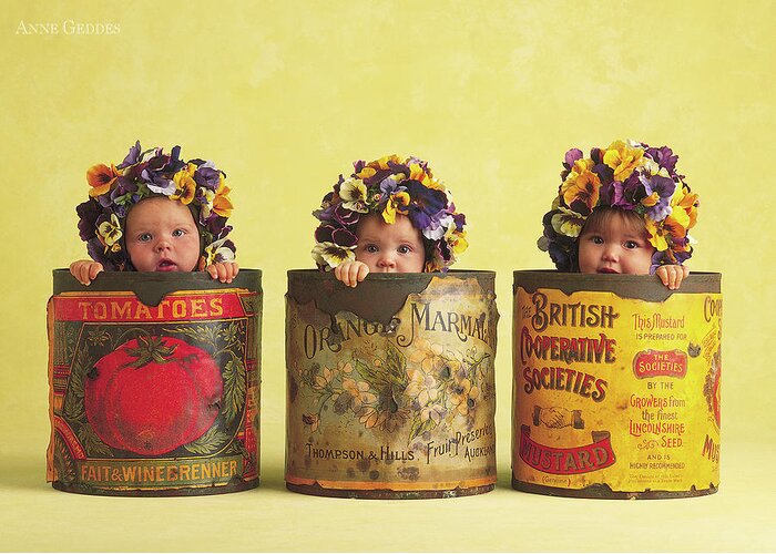 Pansy Greeting Card featuring the photograph Pansy Tins by Anne Geddes