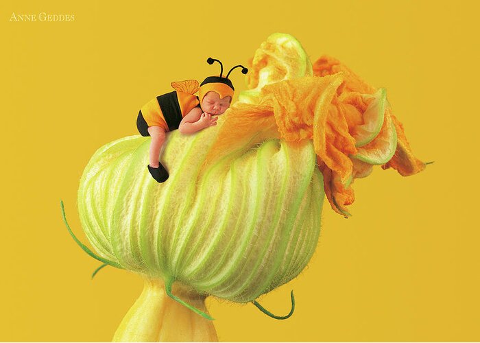 Yellow Greeting Card featuring the photograph Baby Bee on a Pumpkin Flower by Anne Geddes