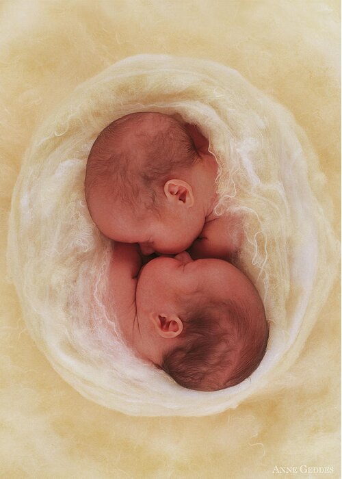 Twins Greeting Card featuring the photograph Pure by Anne Geddes