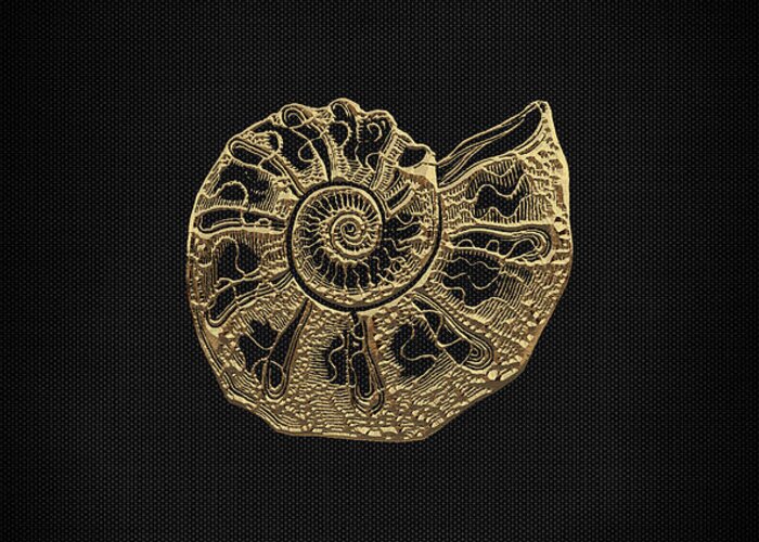 'fossil Record' Collection By Serge Averbukh Greeting Card featuring the digital art Fossil Record - Golden Ammonite Fossil on Square Black Canvas #4 by Serge Averbukh