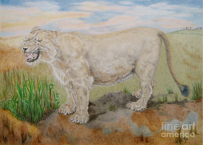 Asiatic Lioness Greeting Card featuring the drawing Asiatic Lioness by Yvonne Johnstone