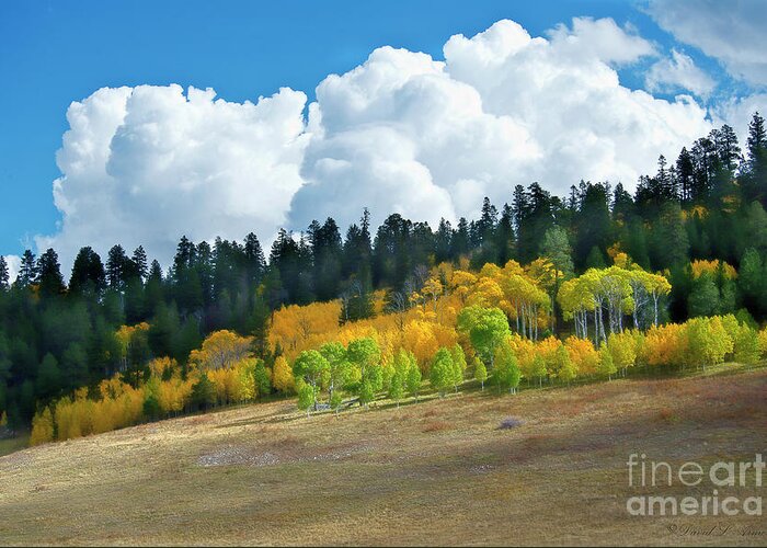 Aspen Greeting Card featuring the photograph Aspens in the Sun by David Arment