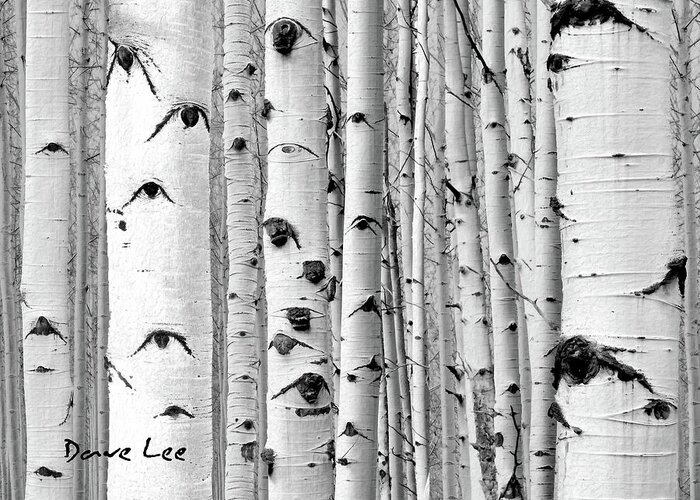 Aspens Greeting Card featuring the mixed media Aspens Near and Far by Dave Lee