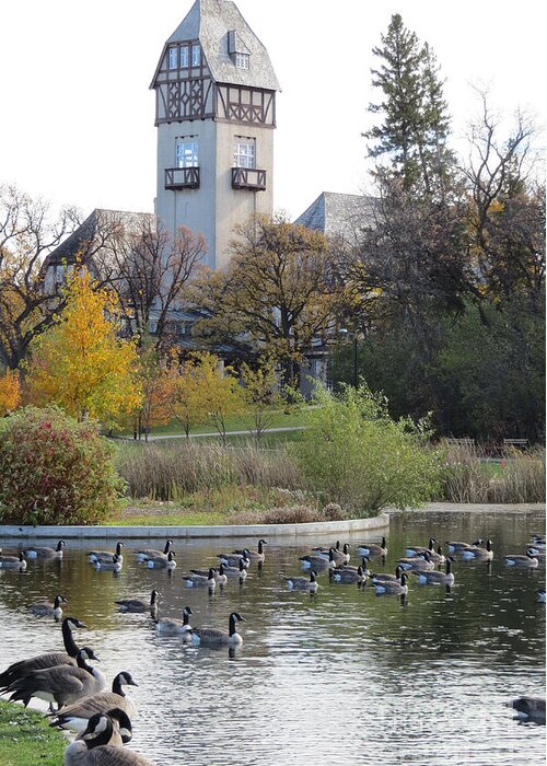 Nature Greeting Card featuring the photograph Assiniboine Park Pavilion by Mary Mikawoz