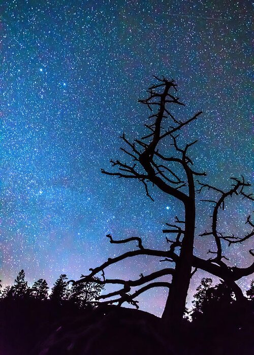 Sky Greeting Card featuring the photograph Astrophotography Night by James BO Insogna