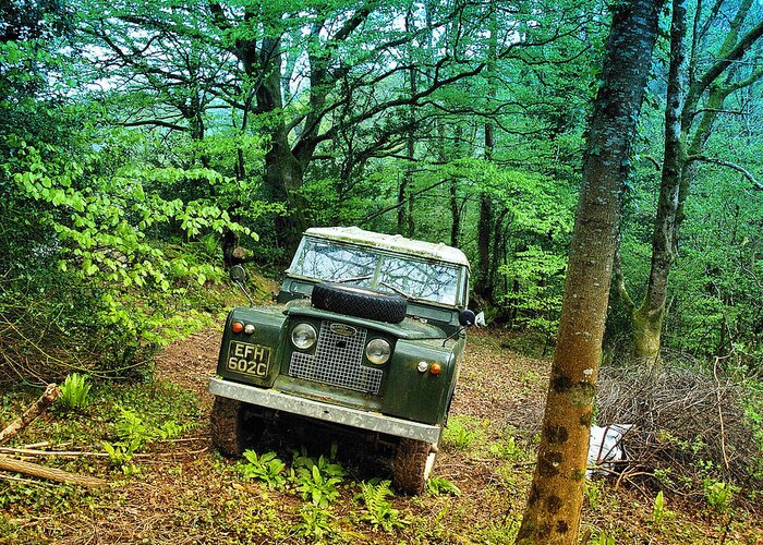 Vehicles Greeting Card featuring the photograph At Home In The Forest by Richard Denyer