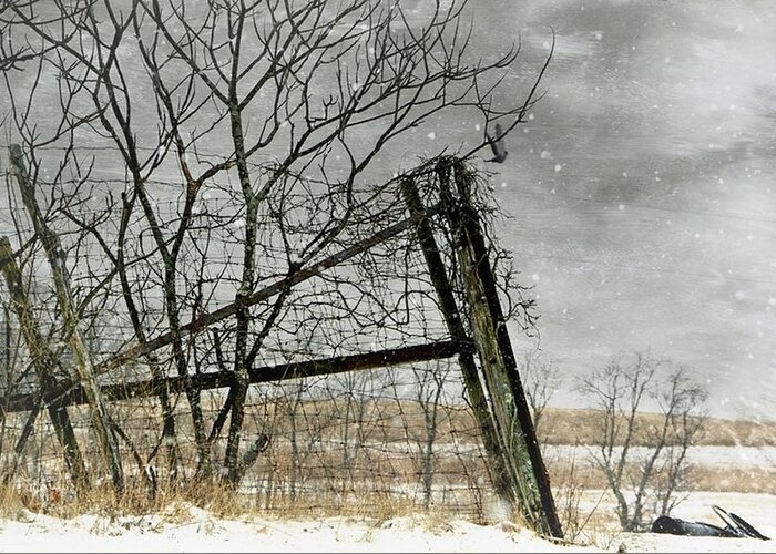 Fence Post Greeting Card featuring the photograph At The End...Fence Post by Stephanie Calhoun
