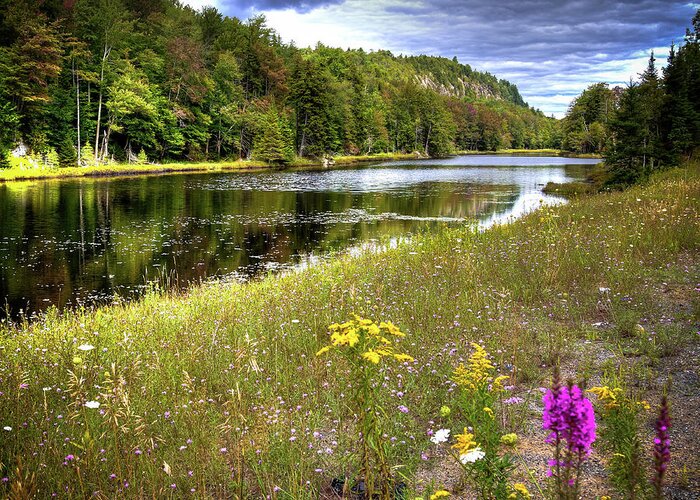 August Flowers On The Pond Greeting Card featuring the photograph August Flowers on the Pond by David Patterson
