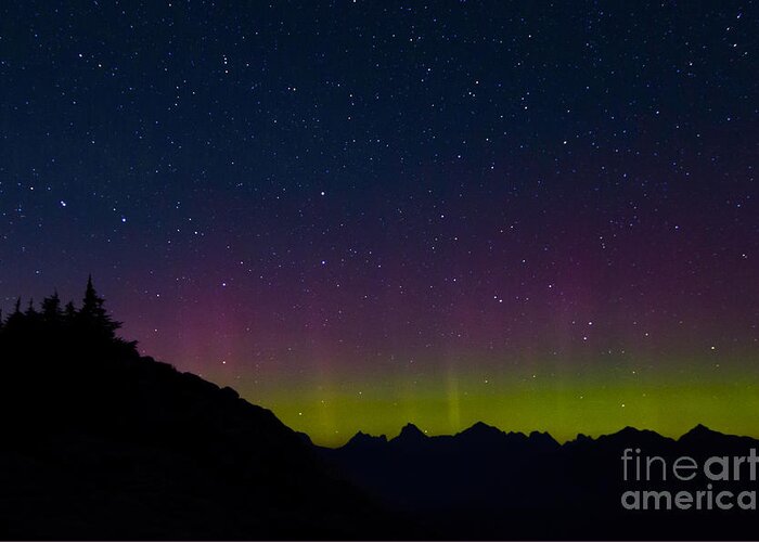 Northern Lights Greeting Card featuring the photograph Aurora by Sonya Lang