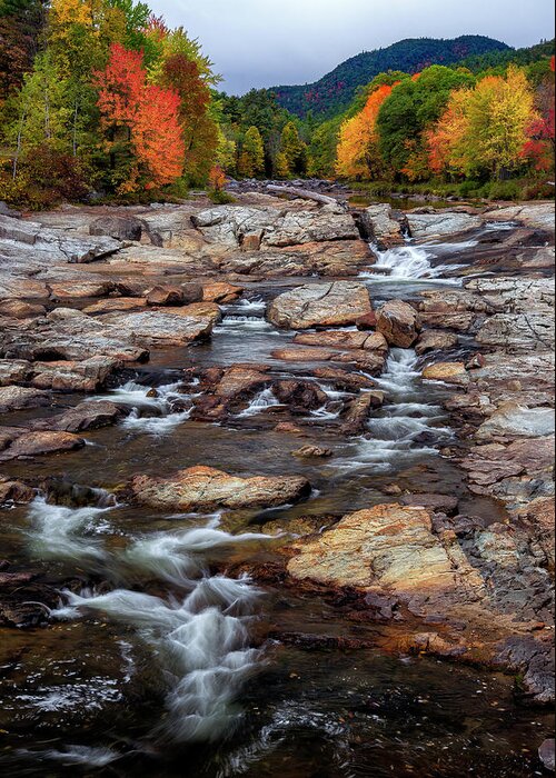 Ausable River Jay Ny Greeting Card featuring the photograph Ausable by Mark Papke