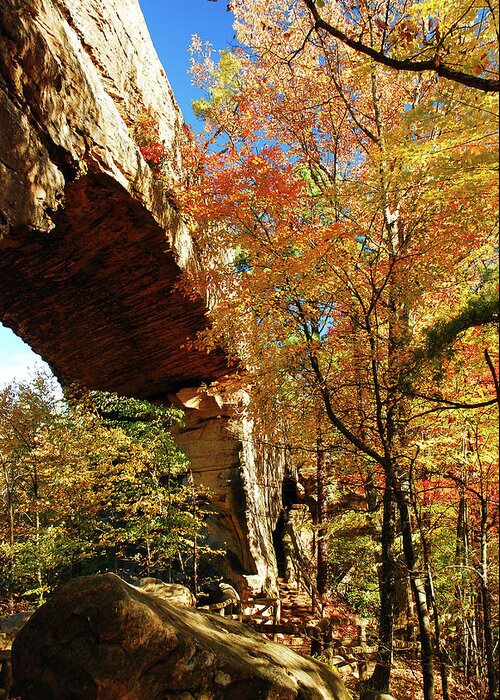 Natural Greeting Card featuring the photograph Autumn at Natural Bridge State Resort by James Kirkikis