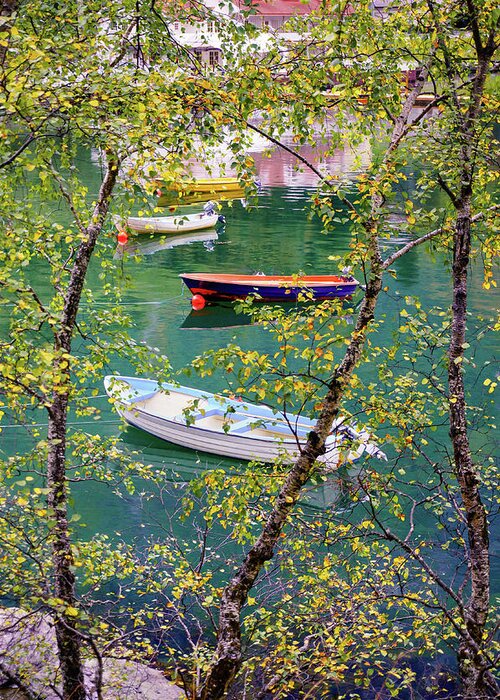 Europe Greeting Card featuring the photograph Autumn. Boats by Dmytro Korol