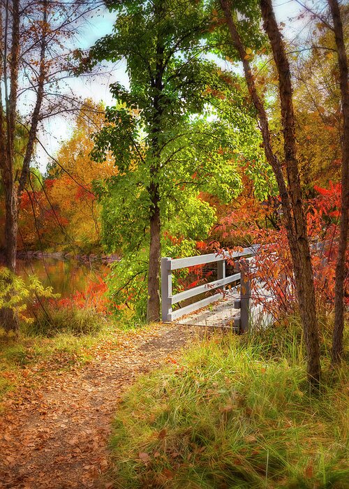 5dmkiv Greeting Card featuring the photograph Autumn Bridge by Mark Mille