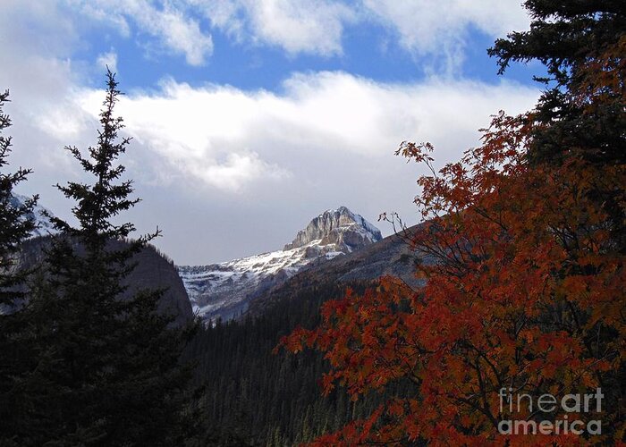 Mt. St. Piran Greeting Card featuring the photograph Autumn Colors by David A James