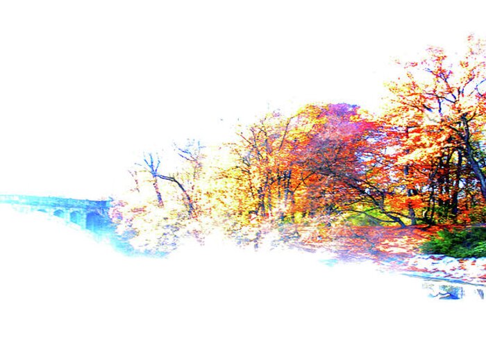 Autumn Greeting Card featuring the photograph Autumn Colors by Hannes Cmarits