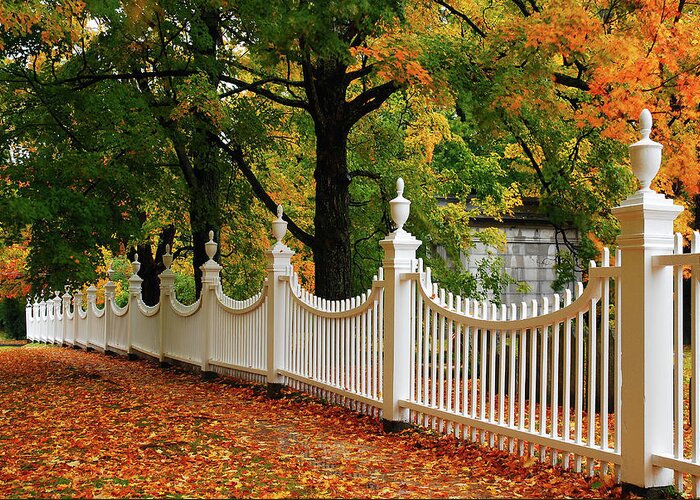 Bennington Greeting Card featuring the photograph Autumn Fencing by James Kirkikis