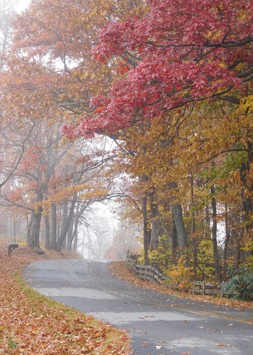 Autumn Greeting Card featuring the photograph Autumn Glory by Diannah Lynch