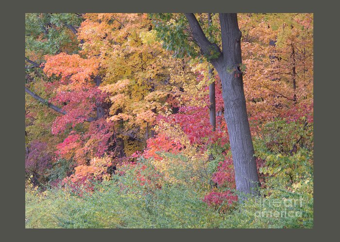 Autumn Greeting Card featuring the photograph Autumn Impression by Ann Horn