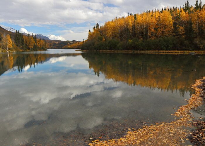 Autumn Greeting Card featuring the photograph Autumn In Alaska by Steve Wolfe