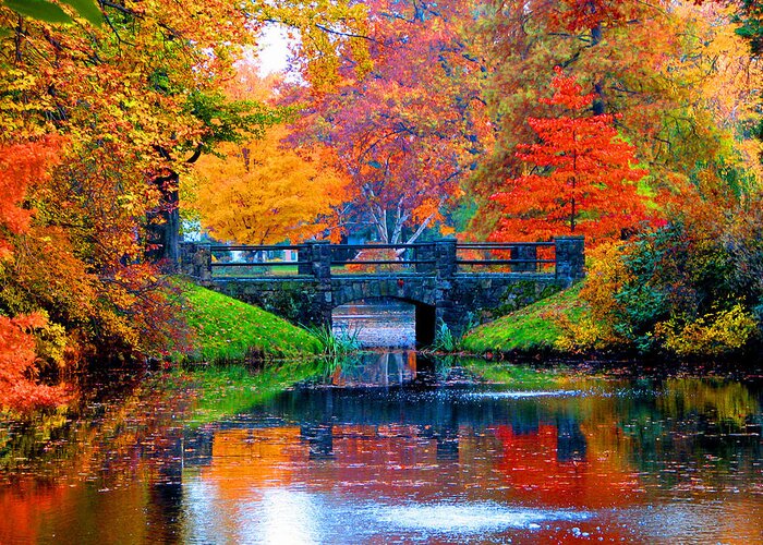 Autumn Greeting Card featuring the photograph Autumn in Boston by Marie Jamieson