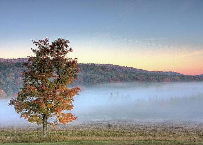 West Virginia Greeting Card featuring the photograph Autumn in Canaan Valley WV by Jack Nevitt